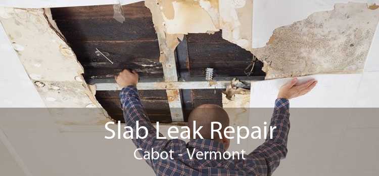 Slab Leak Repair Cabot - Vermont
