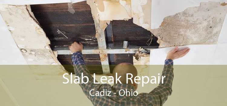 Slab Leak Repair Cadiz - Ohio