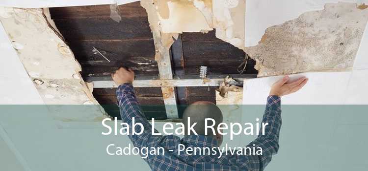 Slab Leak Repair Cadogan - Pennsylvania