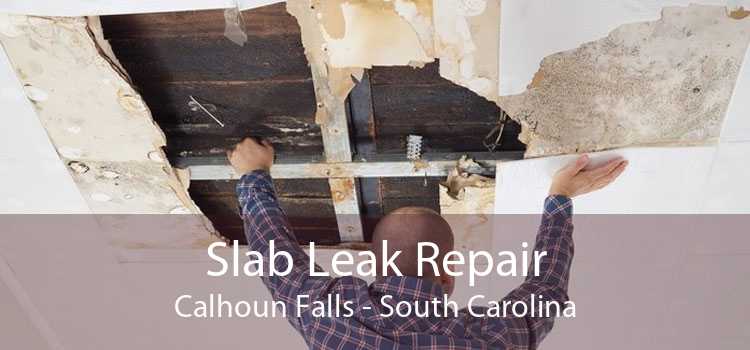 Slab Leak Repair Calhoun Falls - South Carolina