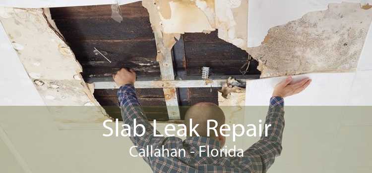 Slab Leak Repair Callahan - Florida