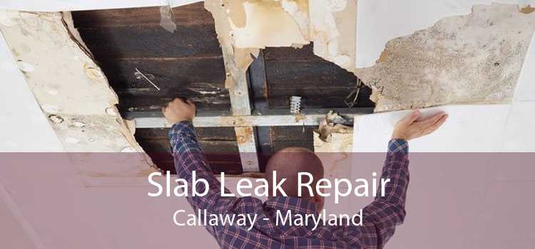 Slab Leak Repair Callaway - Maryland