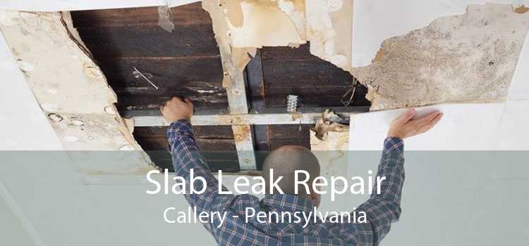 Slab Leak Repair Callery - Pennsylvania