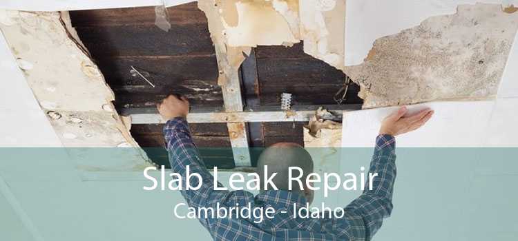 Slab Leak Repair Cambridge - Idaho