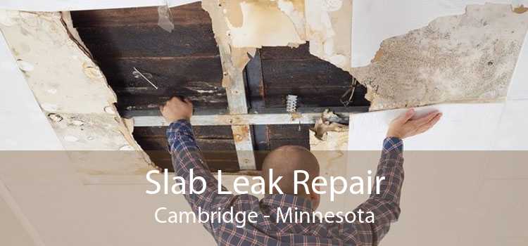 Slab Leak Repair Cambridge - Minnesota