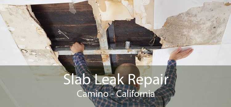 Slab Leak Repair Camino - California
