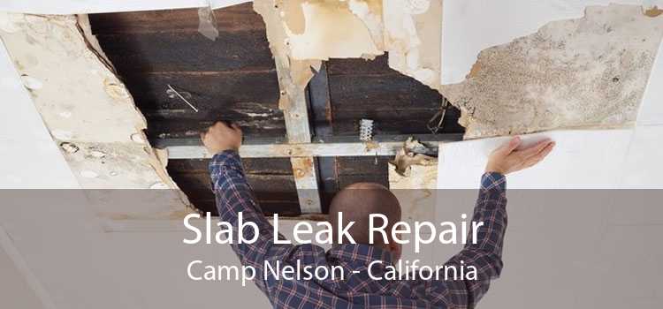 Slab Leak Repair Camp Nelson - California