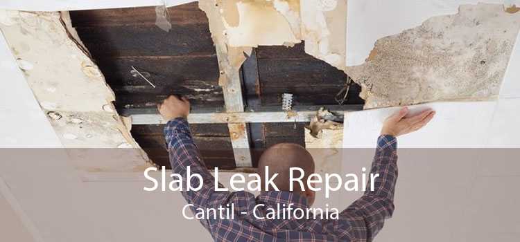 Slab Leak Repair Cantil - California