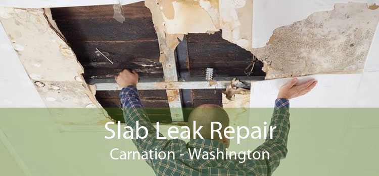Slab Leak Repair Carnation - Washington
