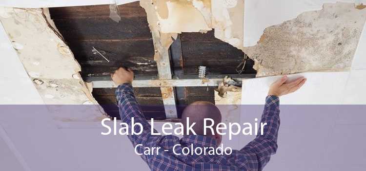 Slab Leak Repair Carr - Colorado
