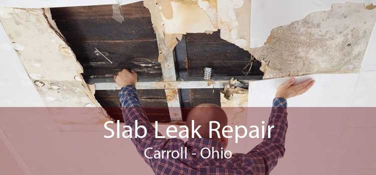 Slab Leak Repair Carroll - Ohio