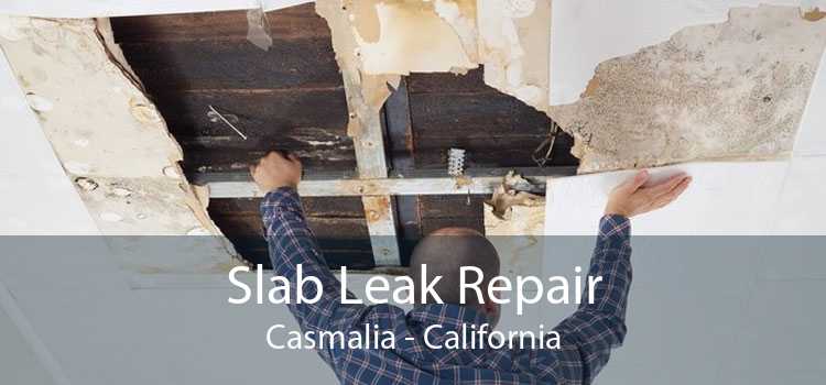 Slab Leak Repair Casmalia - California