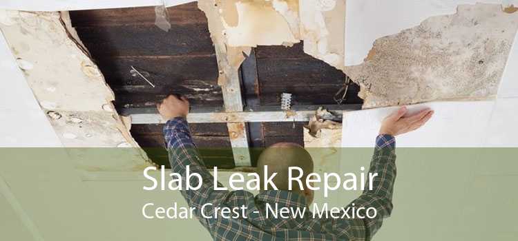 Slab Leak Repair Cedar Crest - New Mexico