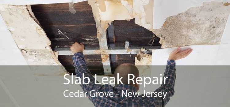 Slab Leak Repair Cedar Grove - New Jersey