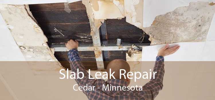 Slab Leak Repair Cedar - Minnesota