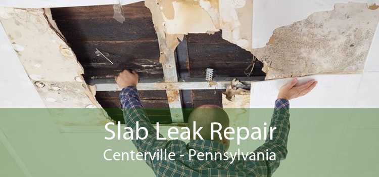 Slab Leak Repair Centerville - Pennsylvania