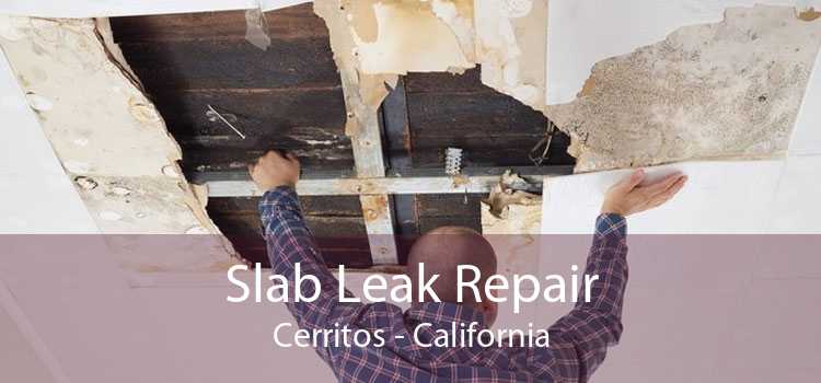 Slab Leak Repair Cerritos - California