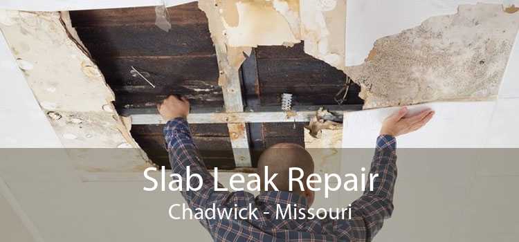 Slab Leak Repair Chadwick - Missouri