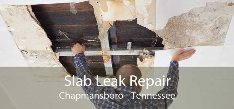 Slab Leak Repair Chapmansboro - Tennessee