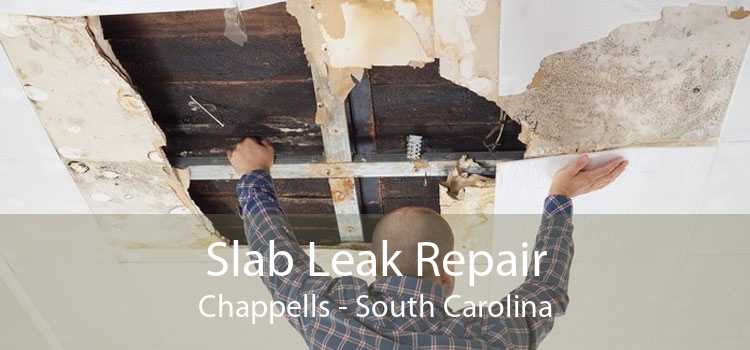 Slab Leak Repair Chappells - South Carolina
