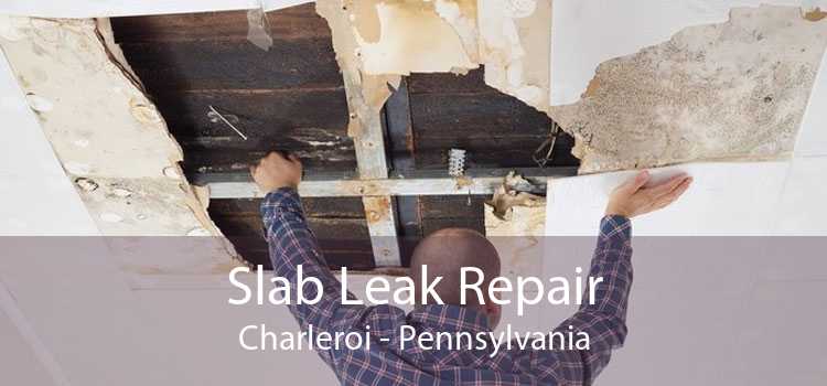 Slab Leak Repair Charleroi - Pennsylvania