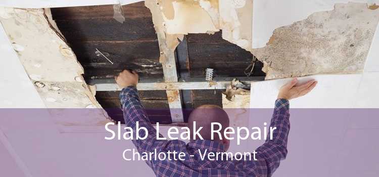 Slab Leak Repair Charlotte - Vermont