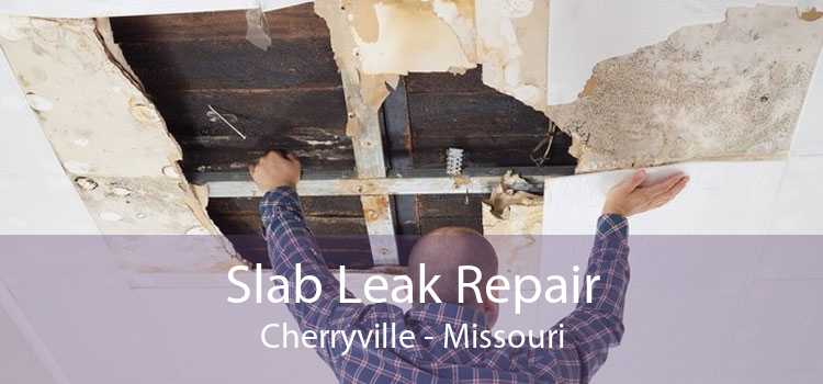 Slab Leak Repair Cherryville - Missouri