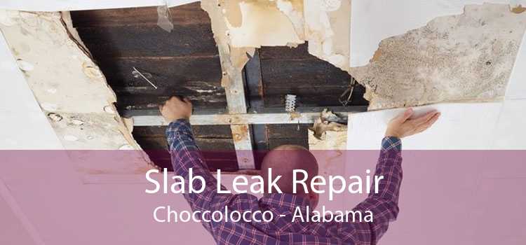 Slab Leak Repair Choccolocco - Alabama