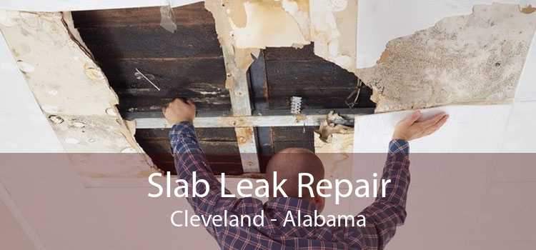 Slab Leak Repair Cleveland - Alabama