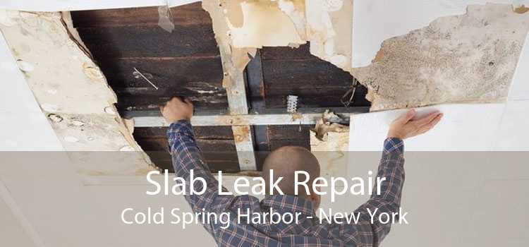 Slab Leak Repair Cold Spring Harbor - New York