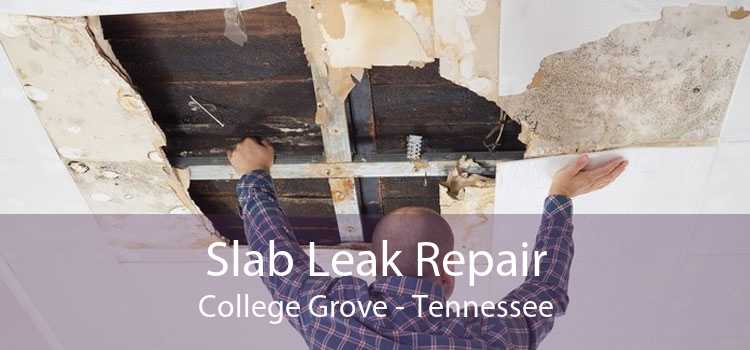 Slab Leak Repair College Grove - Tennessee