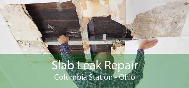Slab Leak Repair Columbia Station - Ohio