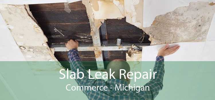 Slab Leak Repair Commerce - Michigan