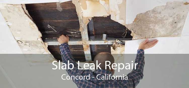 Slab Leak Repair Concord - California