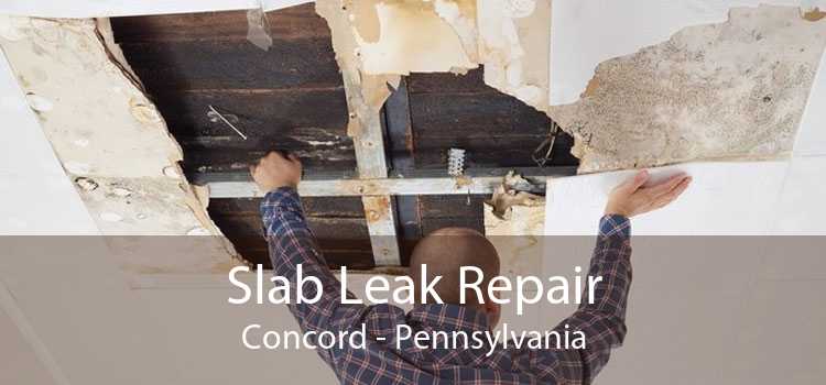 Slab Leak Repair Concord - Pennsylvania