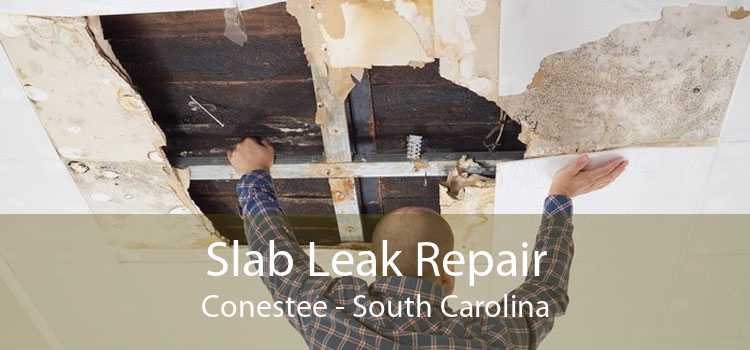 Slab Leak Repair Conestee - South Carolina