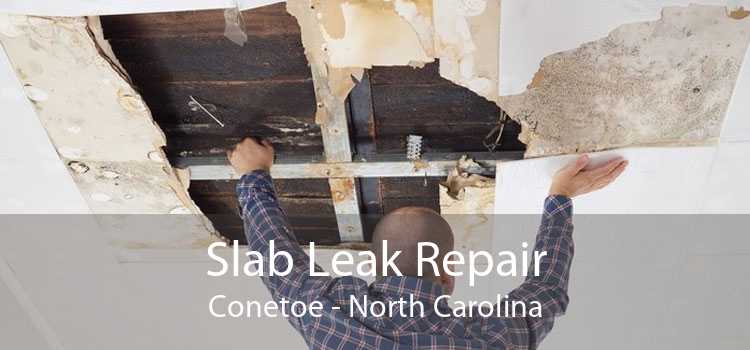 Slab Leak Repair Conetoe - North Carolina