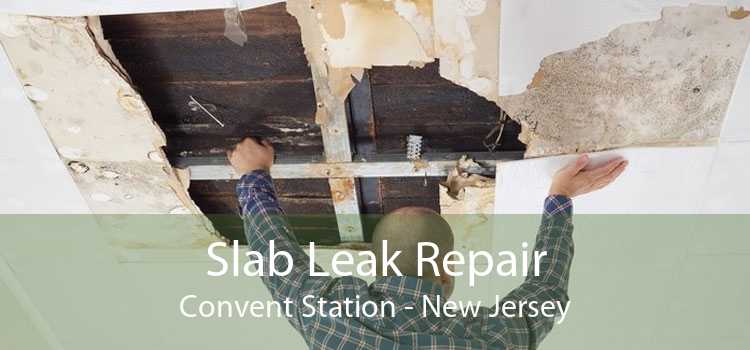 Slab Leak Repair Convent Station - New Jersey