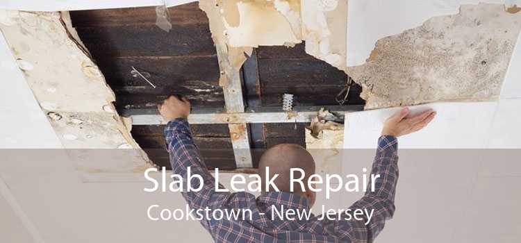 Slab Leak Repair Cookstown - New Jersey