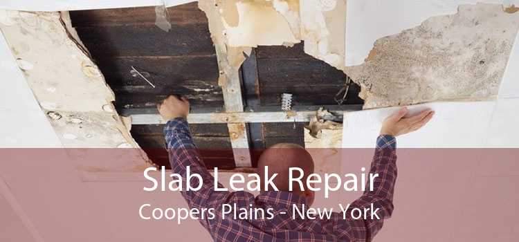 Slab Leak Repair Coopers Plains - New York