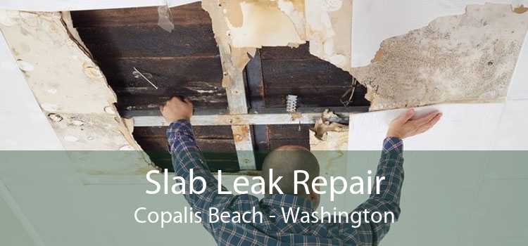 Slab Leak Repair Copalis Beach - Washington
