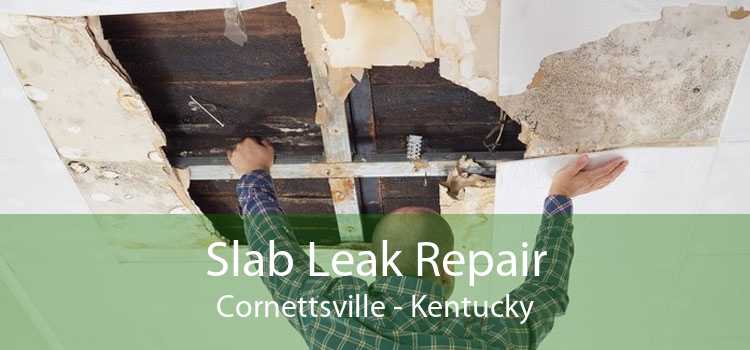 Slab Leak Repair Cornettsville - Kentucky