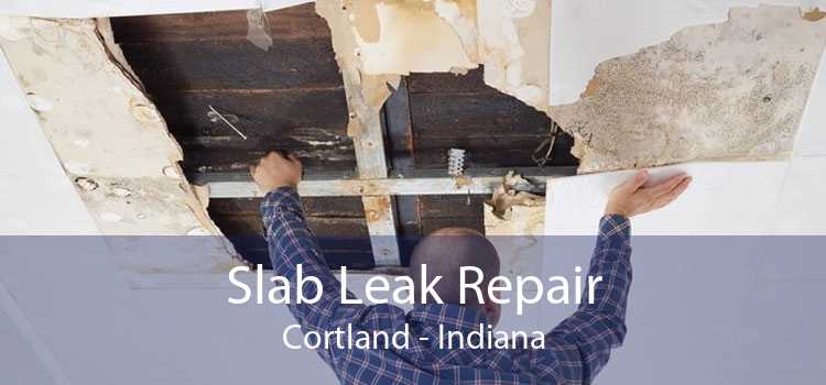 Slab Leak Repair Cortland - Indiana