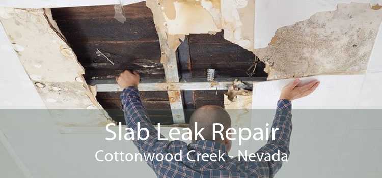 Slab Leak Repair Cottonwood Creek - Nevada