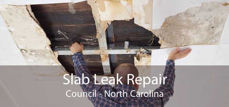 Slab Leak Repair Council - North Carolina