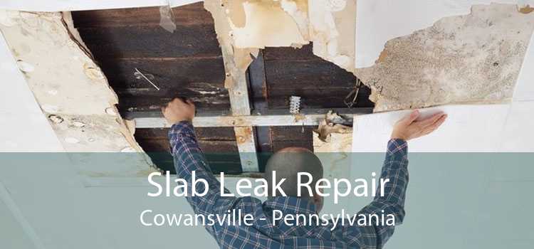 Slab Leak Repair Cowansville - Pennsylvania