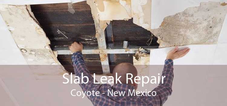 Slab Leak Repair Coyote - New Mexico