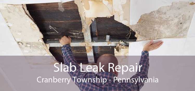 Slab Leak Repair Cranberry Township - Pennsylvania