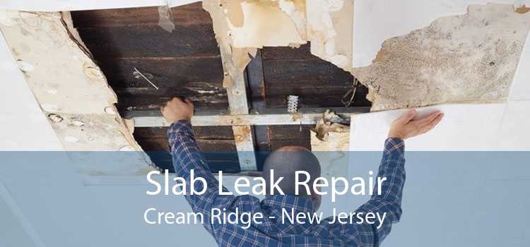 Slab Leak Repair Cream Ridge - New Jersey