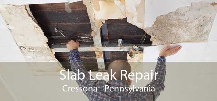 Slab Leak Repair Cressona - Pennsylvania